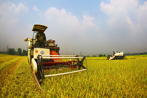 Rice Harvester Drive